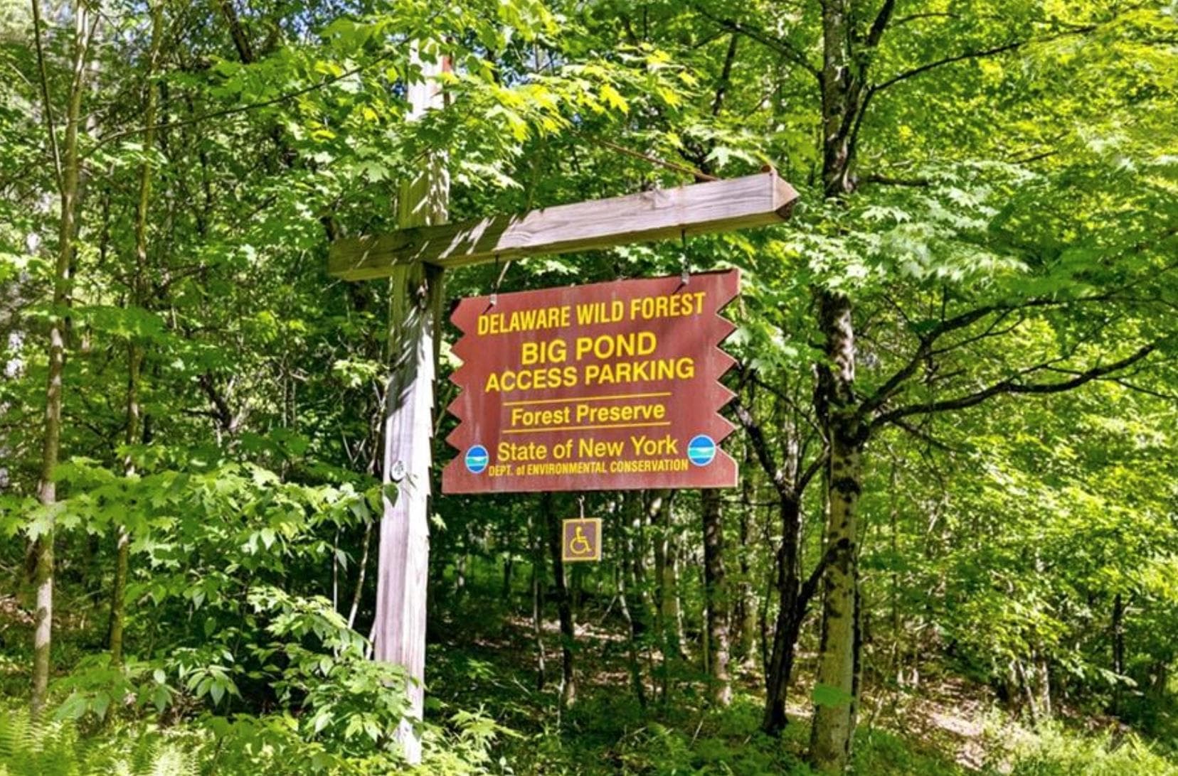 2018 Beaverkill Road thumbnail 20