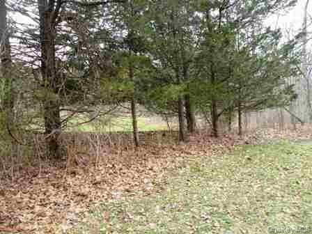 618 Bean River Road thumbnail 20