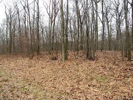 618 Bean River Road thumbnail 26