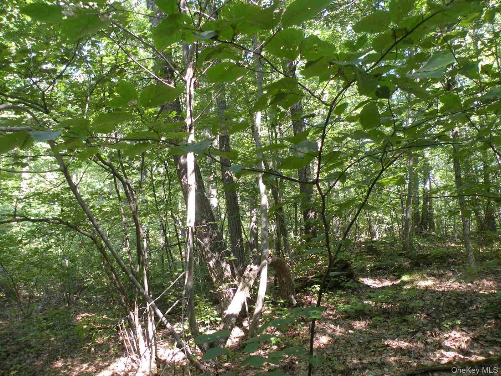 618 Bean River Road thumbnail 23