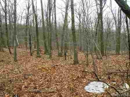 618 Bean River Road thumbnail 22