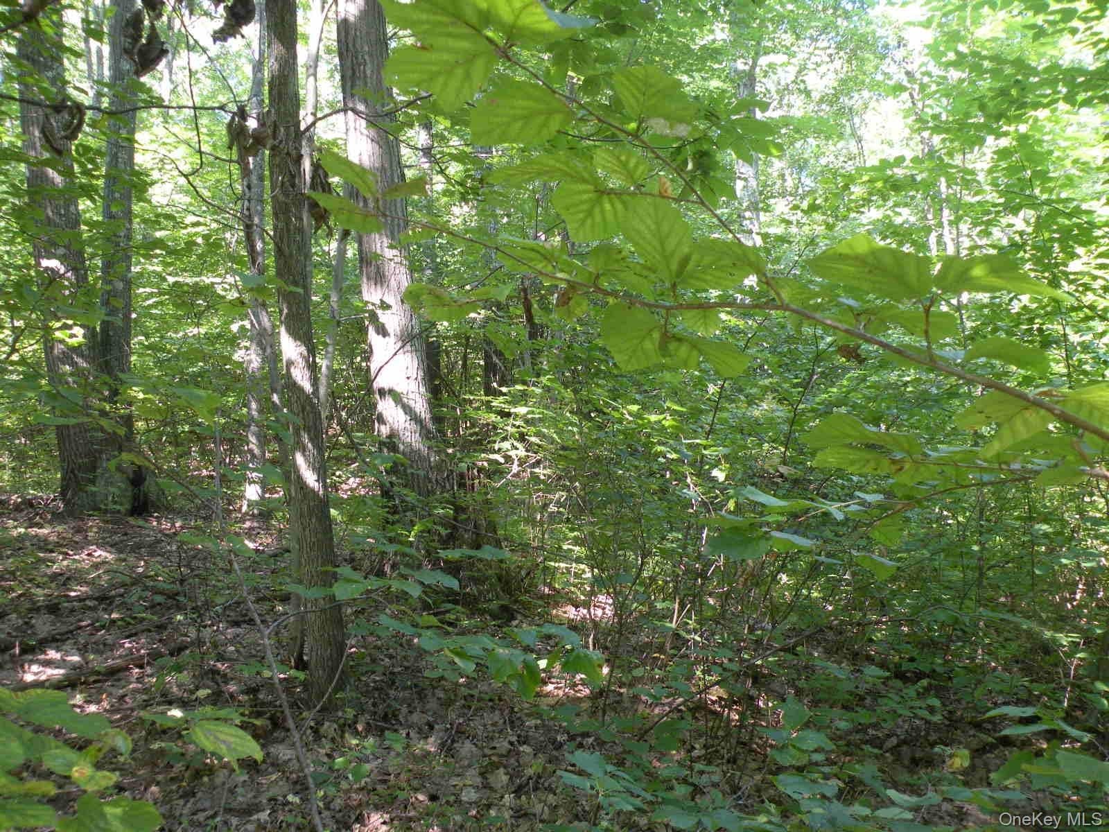 618 Bean River Road thumbnail 24