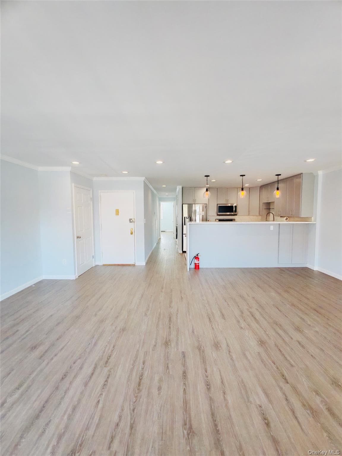 1088 E 73rd Street Unit: 3C thumbnail 3