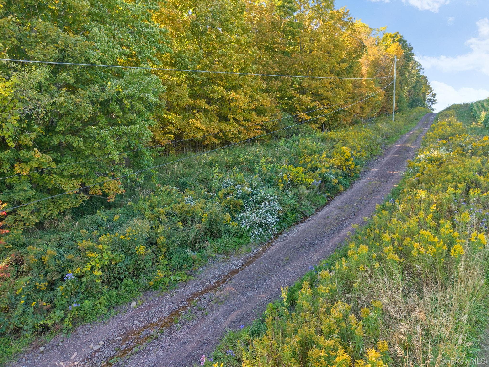 L1.3 N Harpersfield Rd, Jefferson Ny thumbnail 4