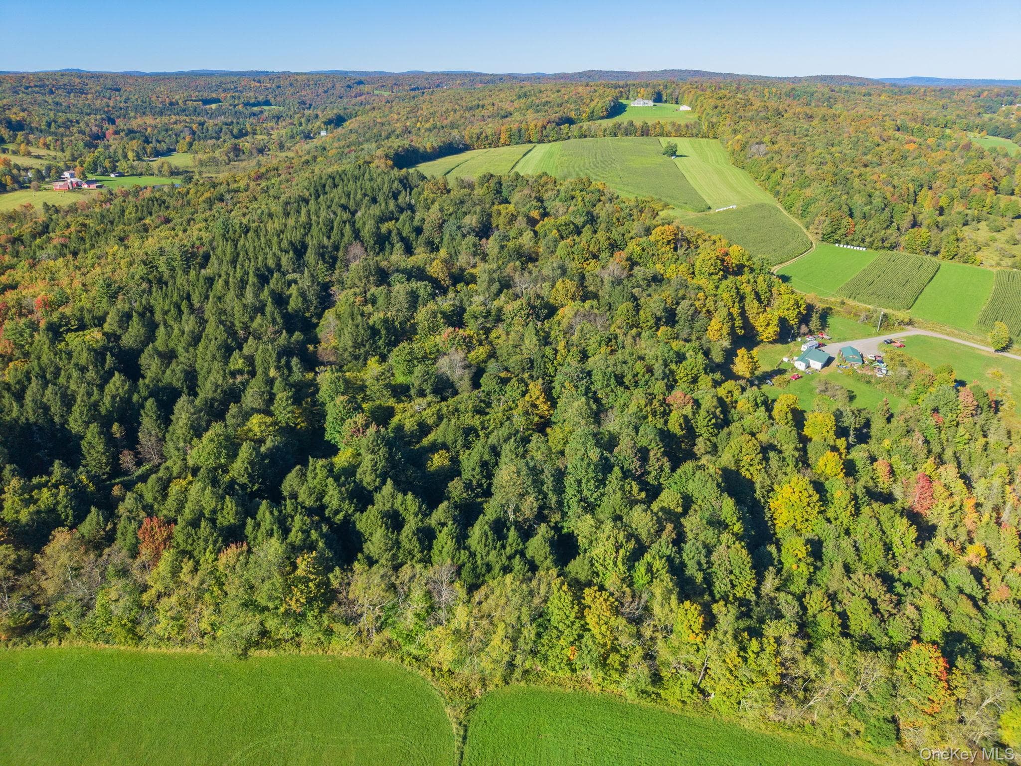 L1.3 N Harpersfield Rd, Jefferson Ny thumbnail 11
