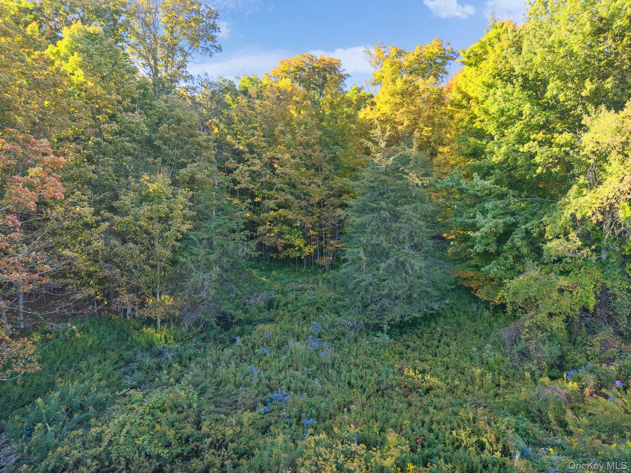 L1.3 N Harpersfield Rd, Jefferson Ny thumbnail 7
