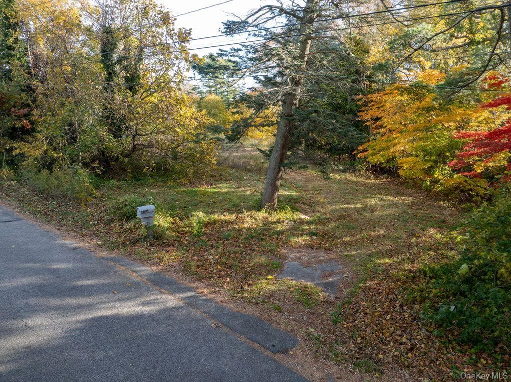 81 Old Broadway Avenue thumbnail 17