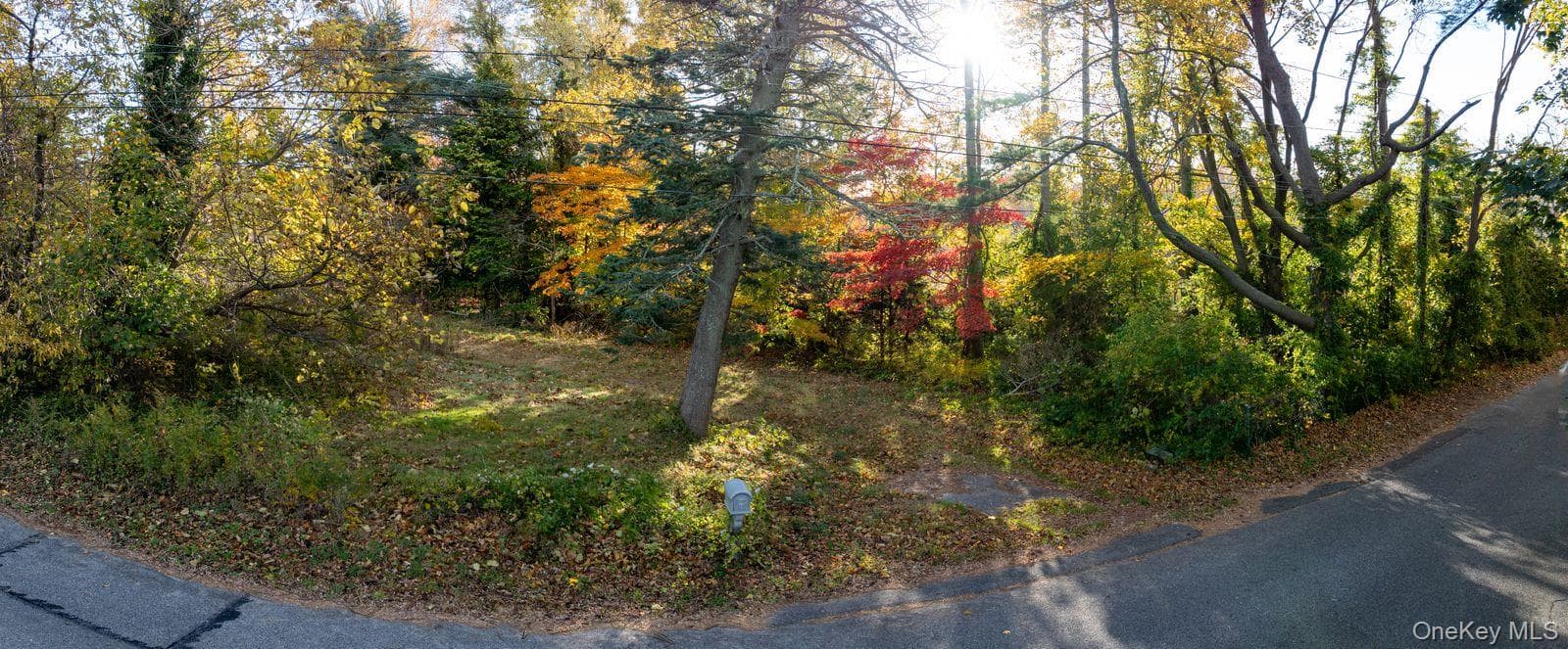 81 Old Broadway Avenue thumbnail 16