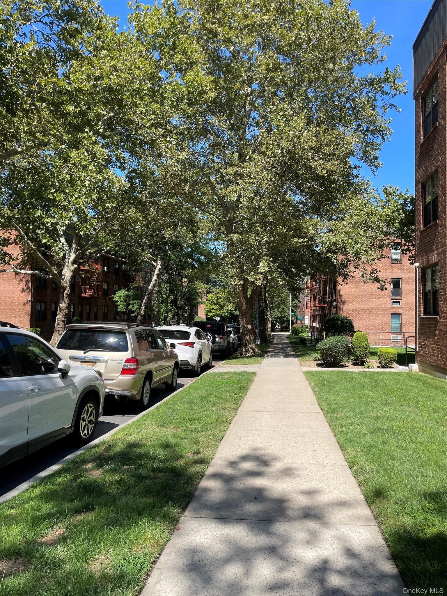 215-40 47 Avenue Ave Unit: 3B thumbnail 8