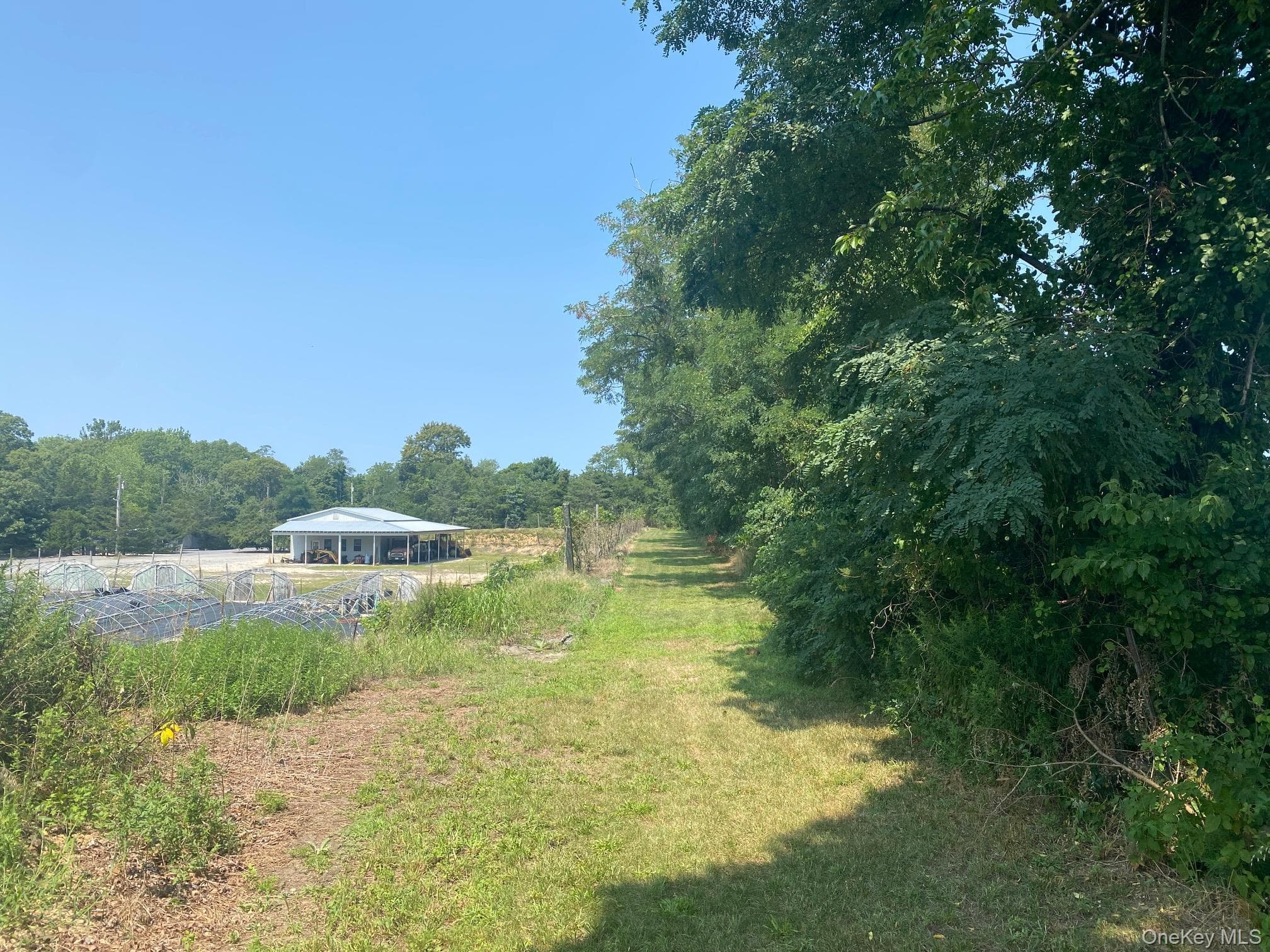 2450 Main Road thumbnail 26
