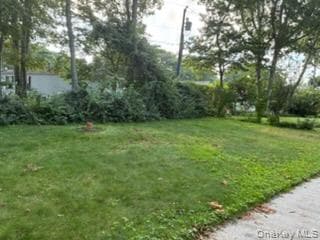 1661 Old Country Road Road Unit: 466 thumbnail 10