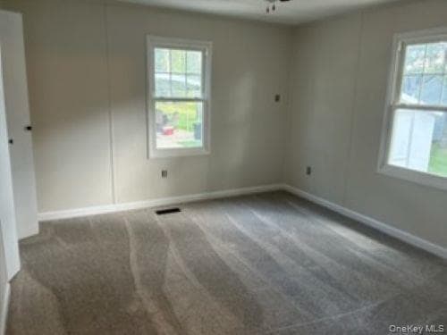 1661 Old Country Road Road Unit: 466 thumbnail 13