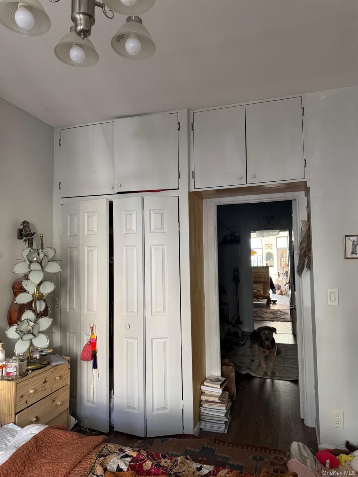 1728 Greene Avenue thumbnail 5