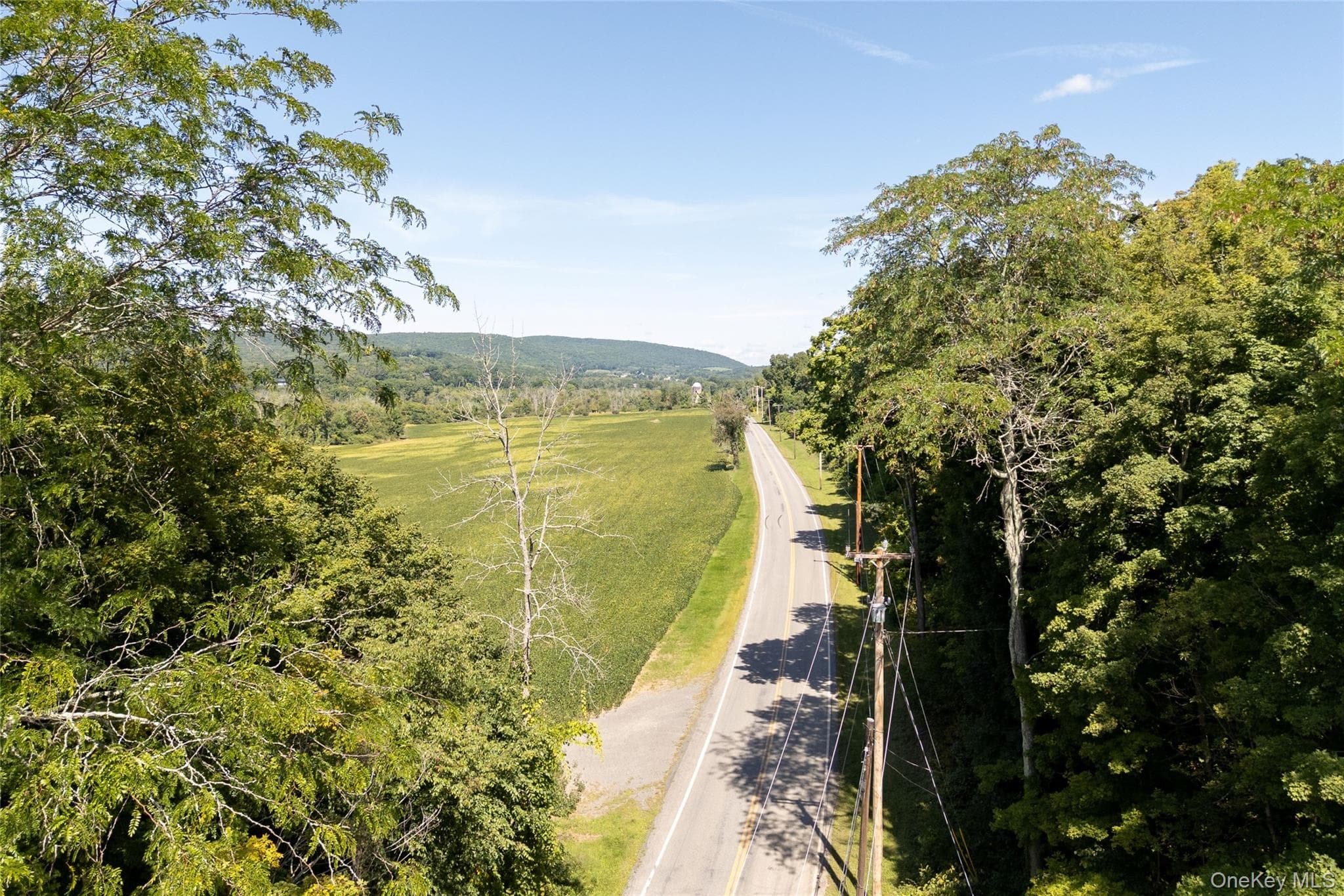 156 Farm Road thumbnail 50