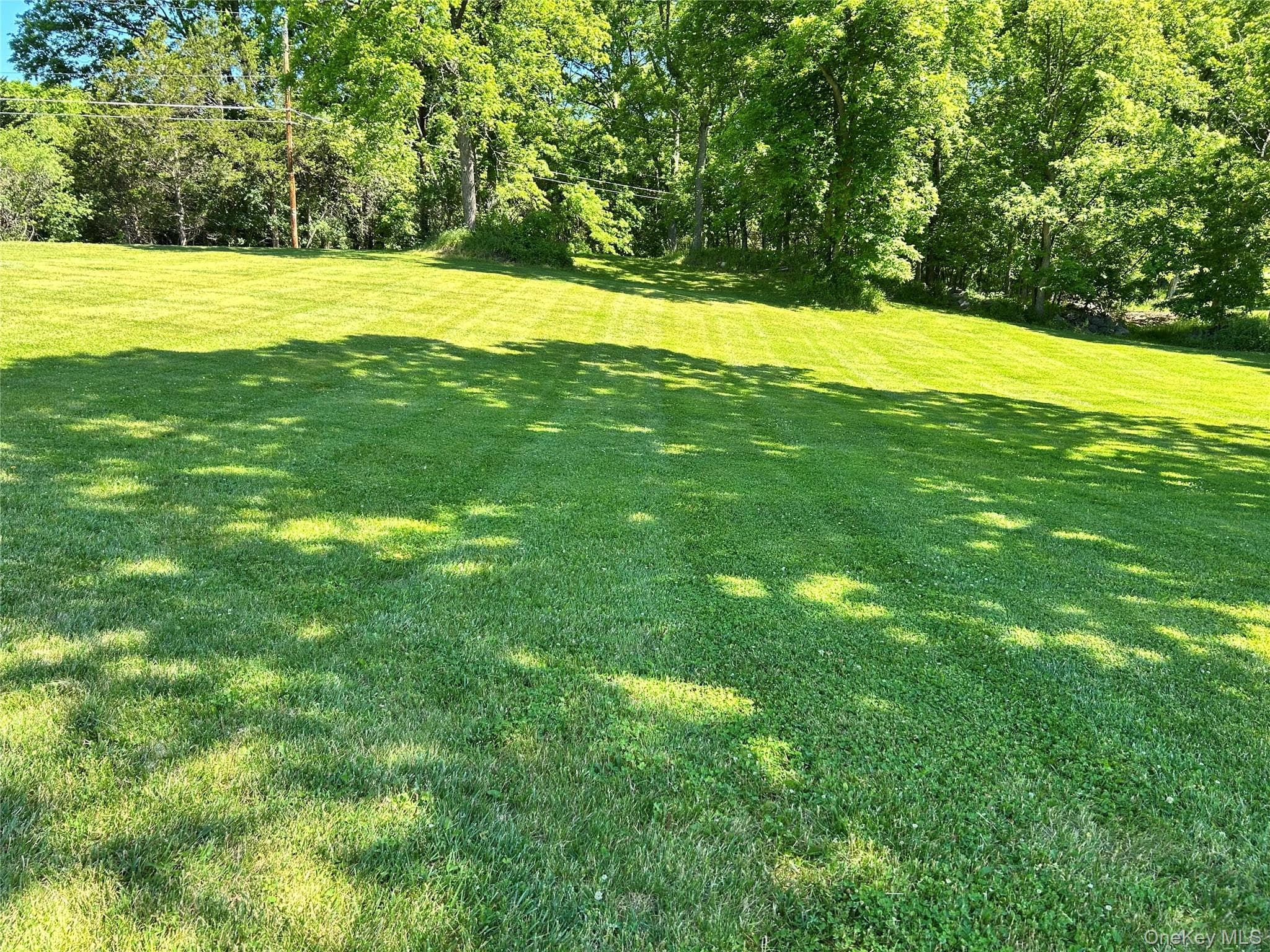 40 Carter Road thumbnail 14