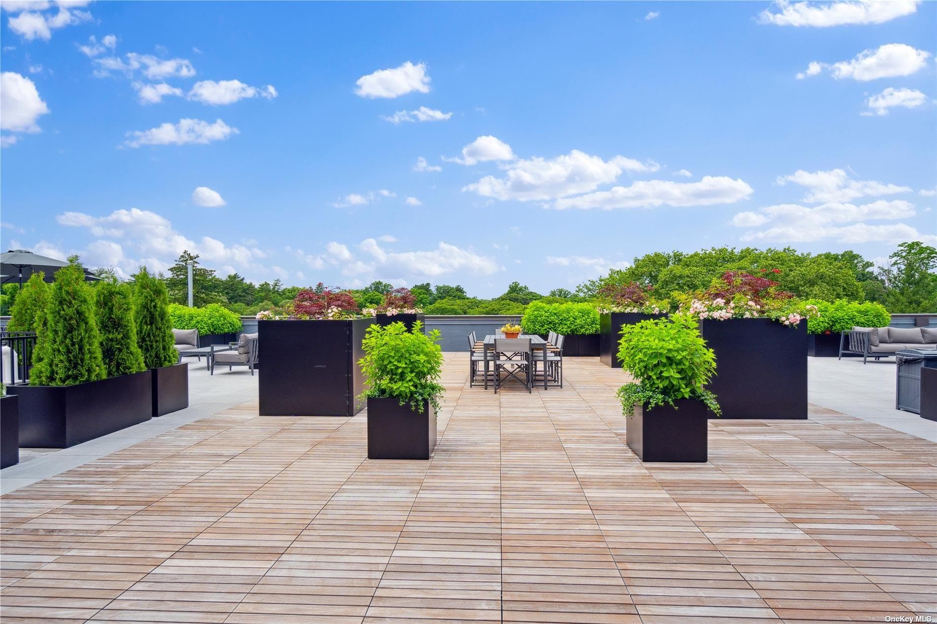 218 Middle Neck Road Unit: 205 thumbnail 3