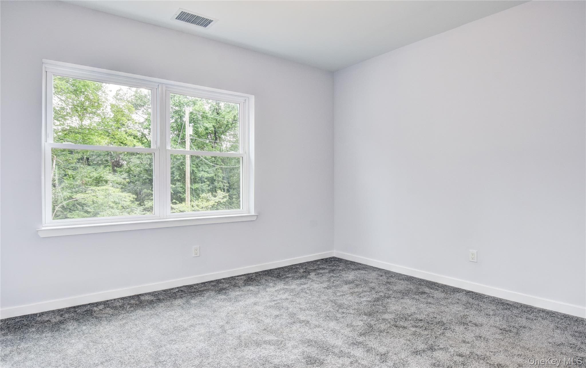 12 Tamarack Drive thumbnail 23