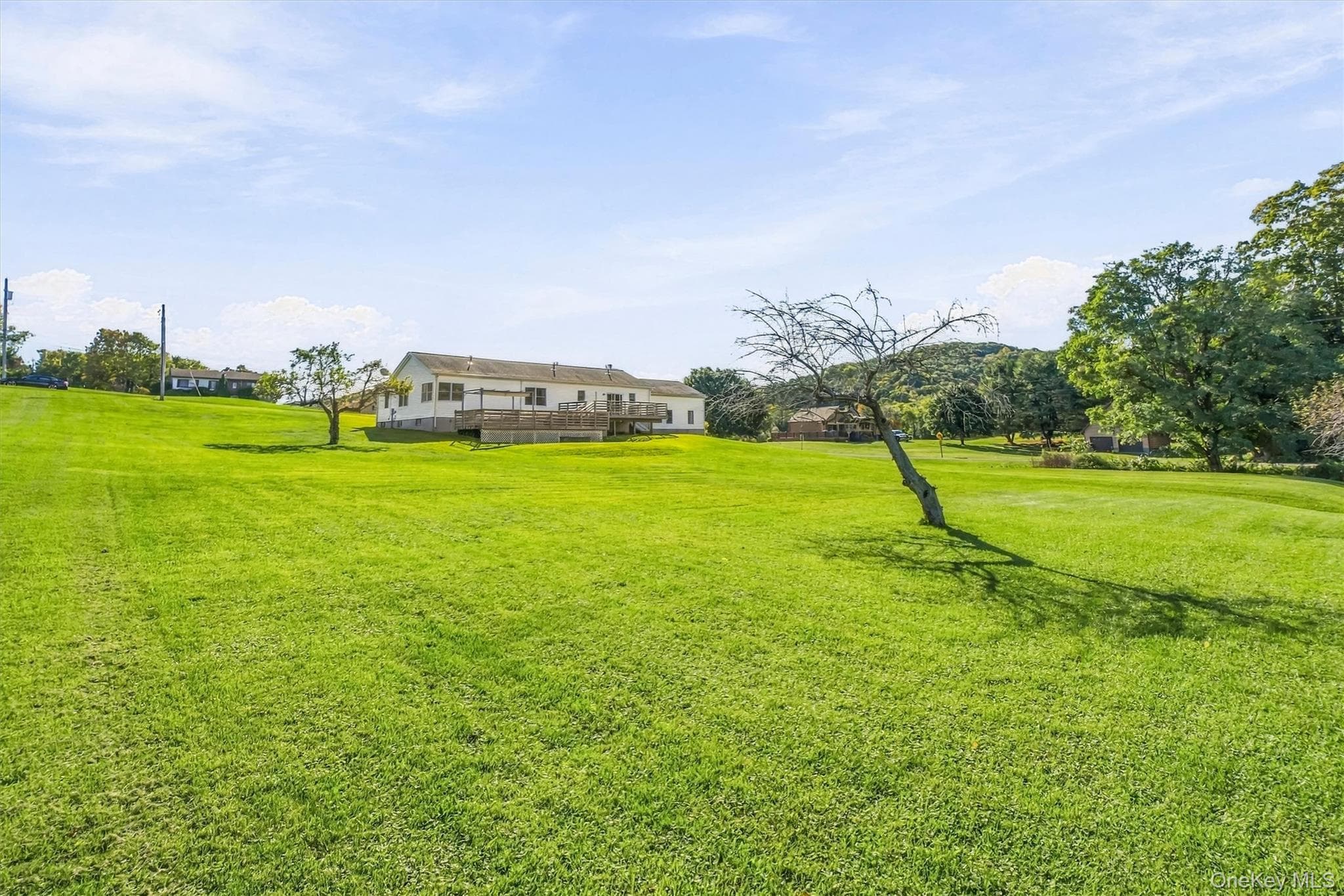 432 Willow Tree Road thumbnail 36