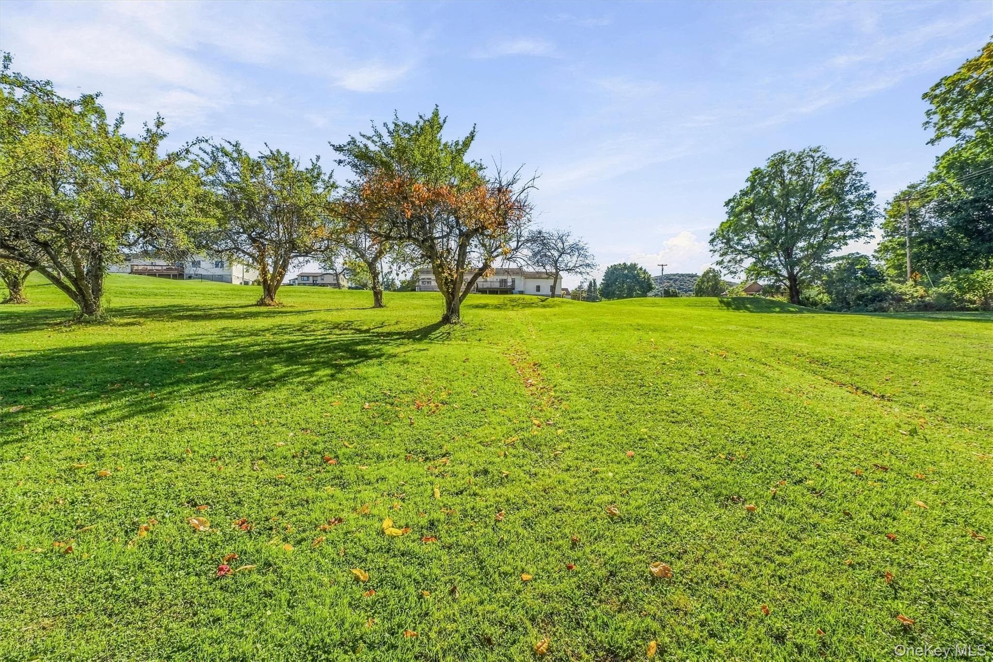 432 Willow Tree Road thumbnail 38