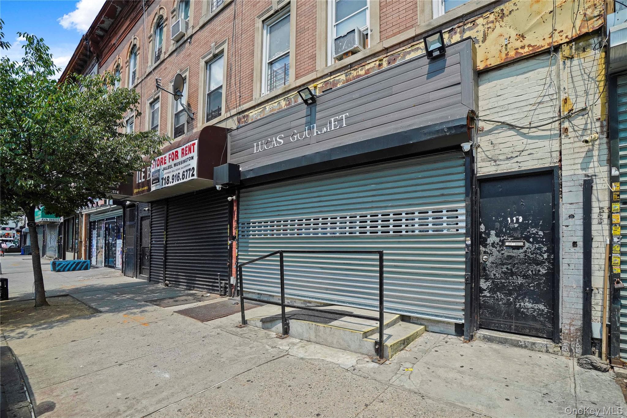 113 Belmont Avenue thumbnail 3