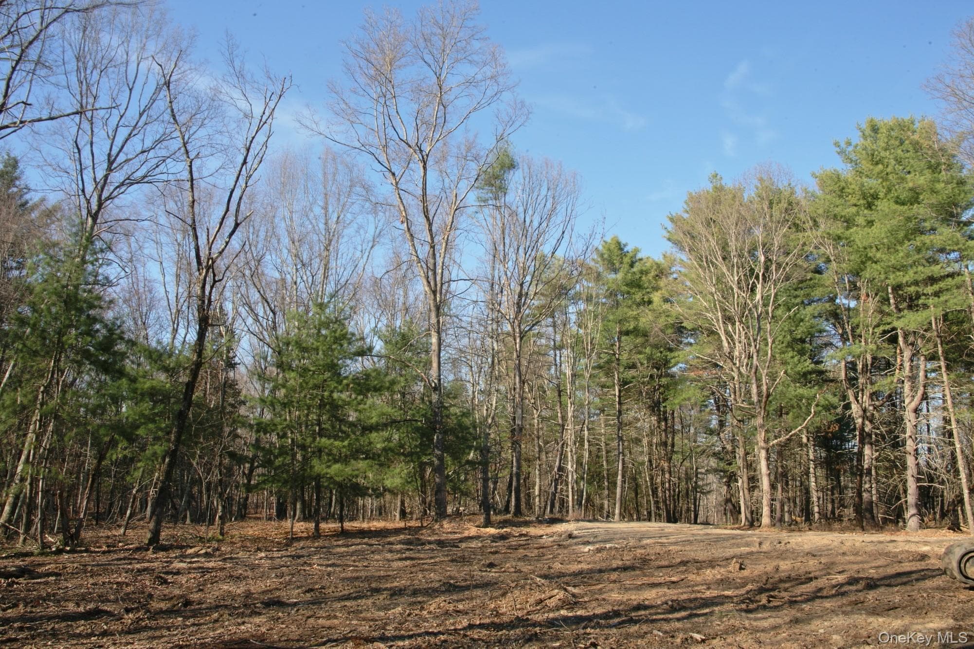 775 Academy Hill Road thumbnail 5