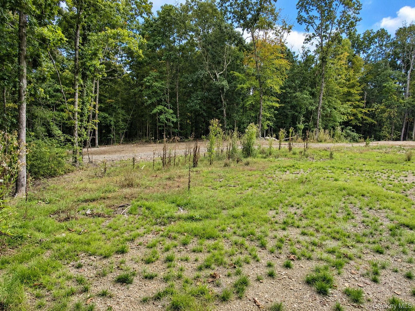 775 Academy Hill Road thumbnail 19