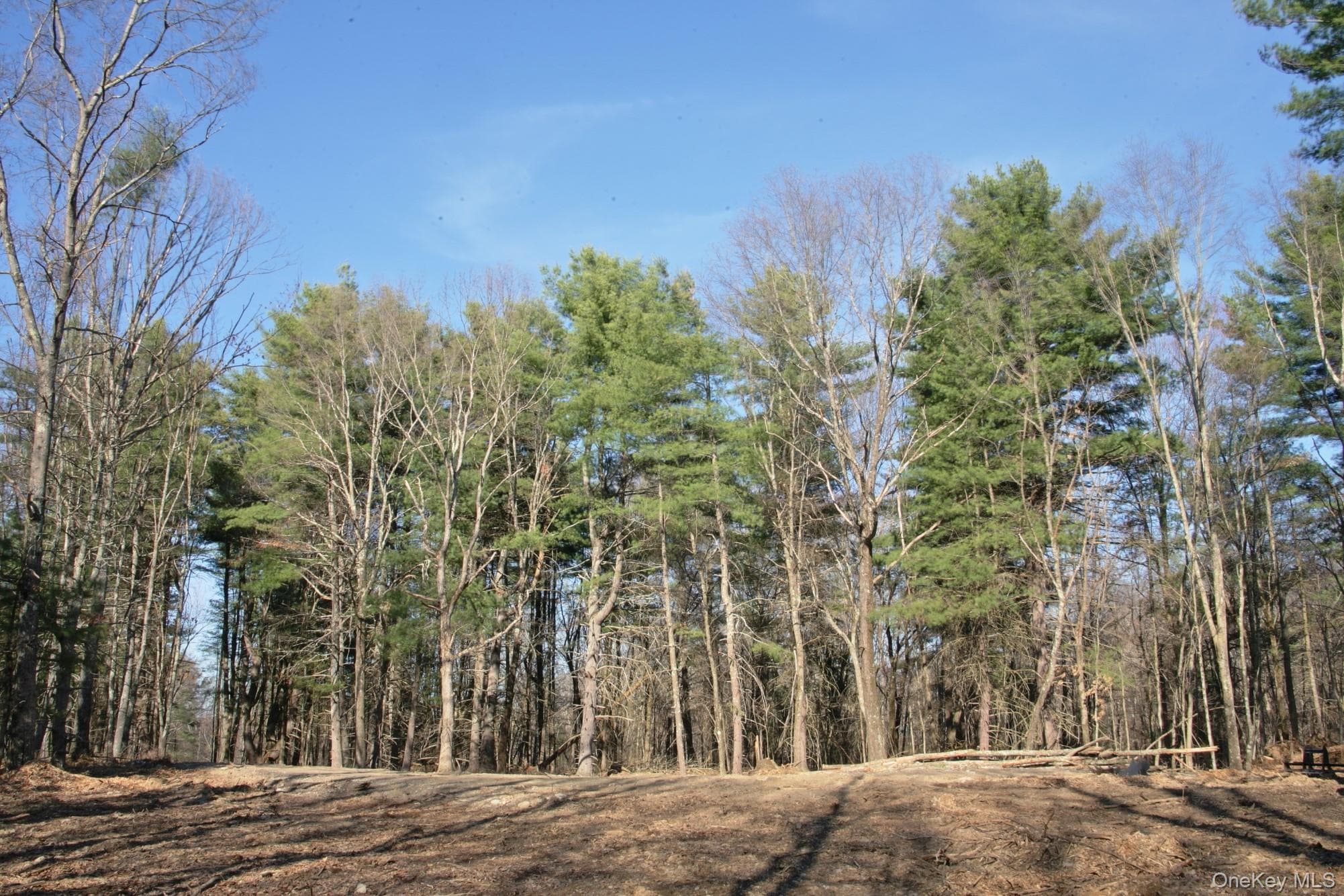 775 Academy Hill Road thumbnail 4