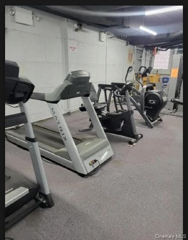 3965 51st Street St Unit: 1C thumbnail 15