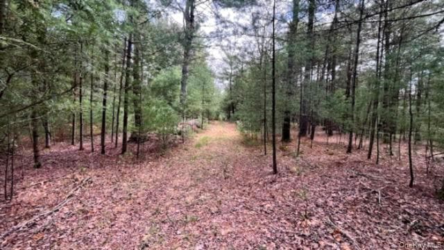 Lot 12 White Road thumbnail 3