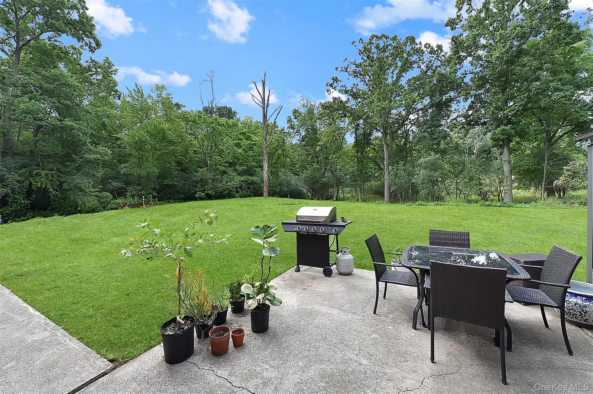 243 Hill Road thumbnail 43