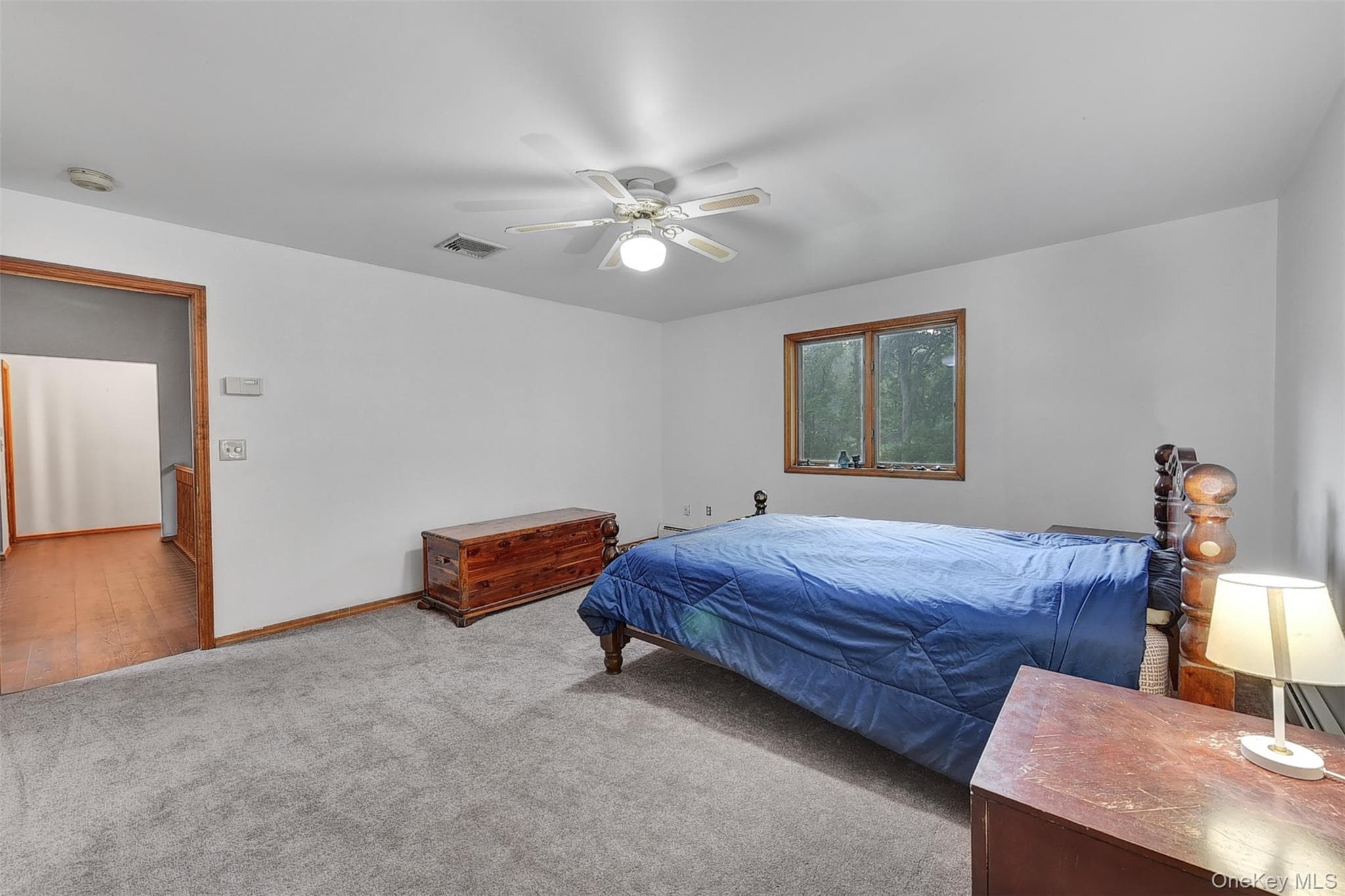 243 Hill Road thumbnail 33