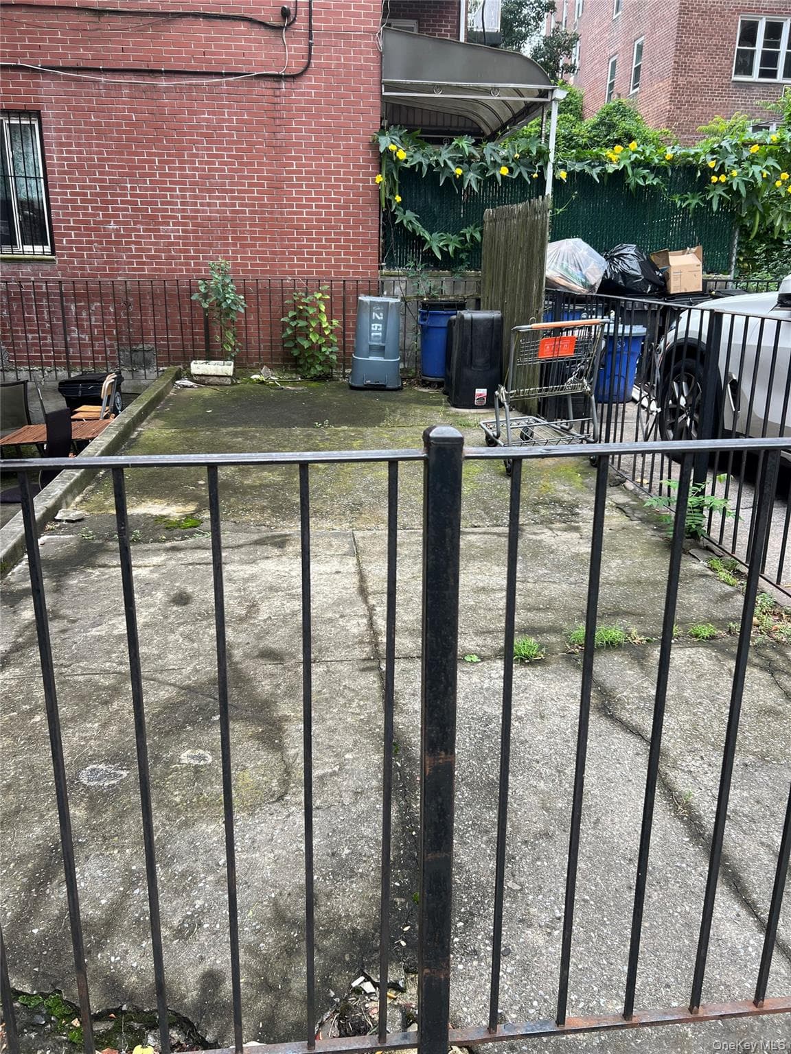 42-60 Colden Street Unit: 1B thumbnail 2