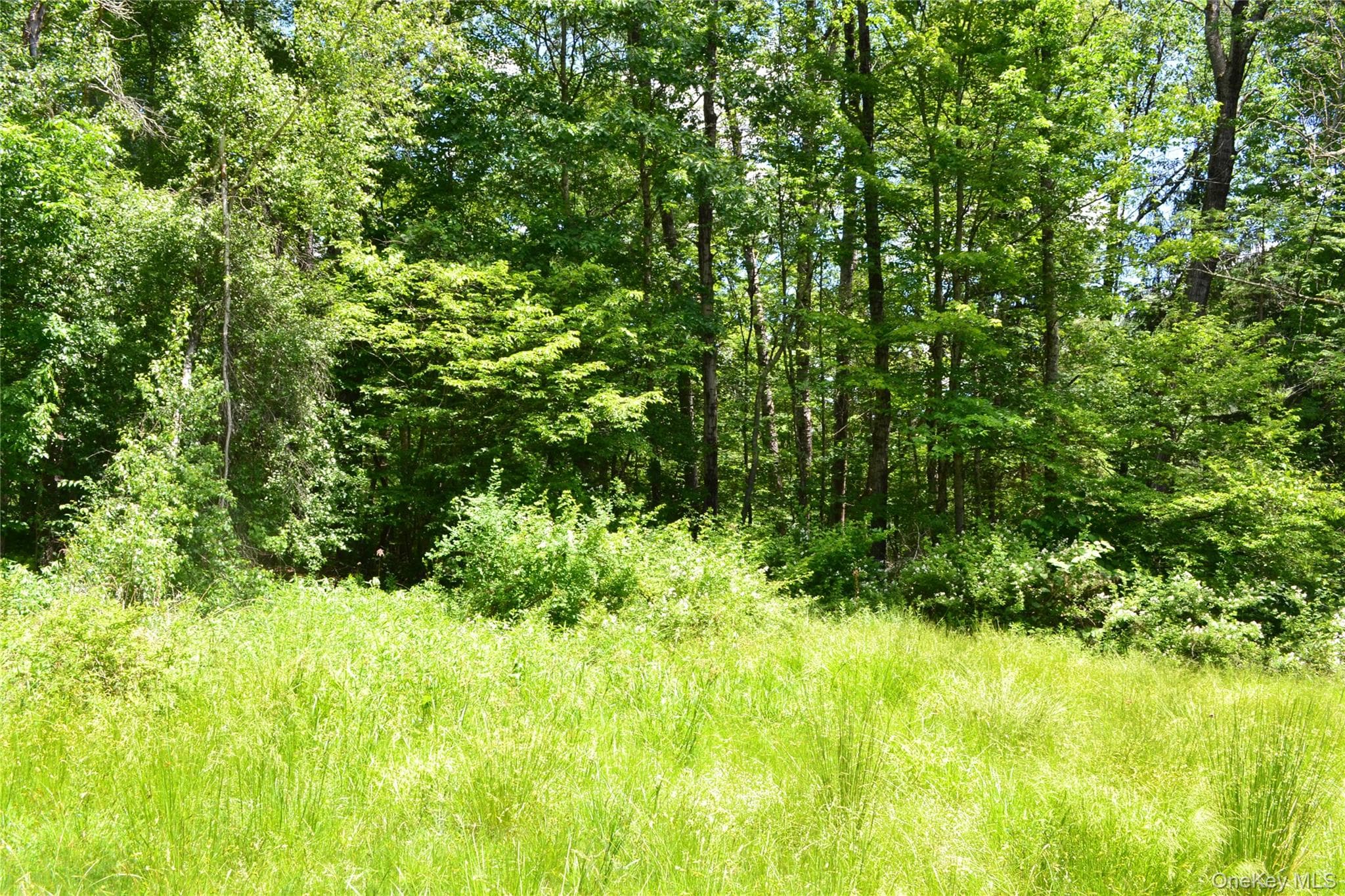 549 Gavette Road thumbnail 26