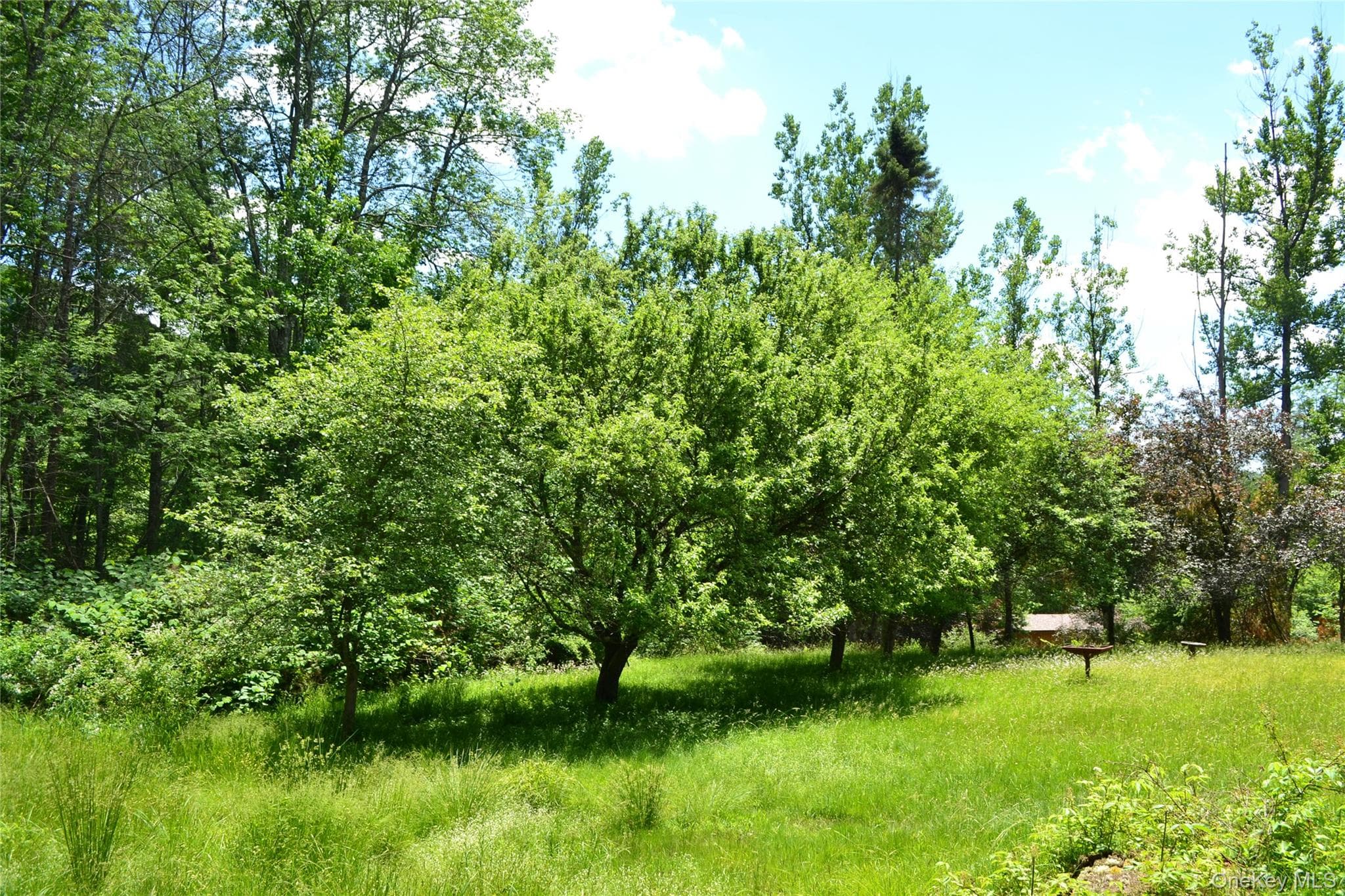 549 Gavette Road thumbnail 27