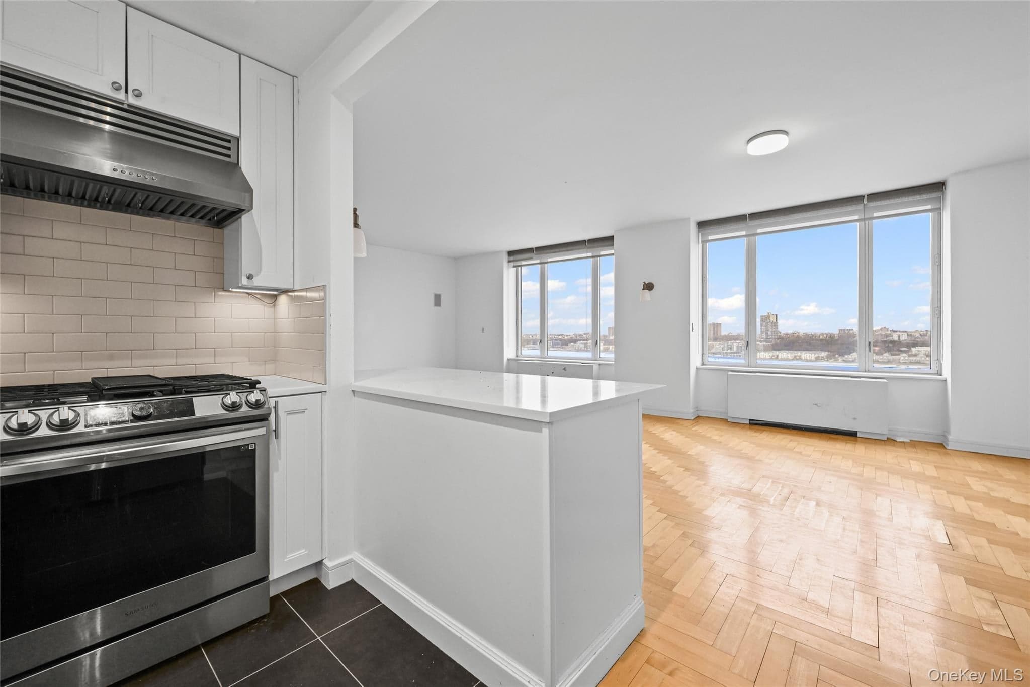 220 Riverside Boulevard Unit: 19L thumbnail 15