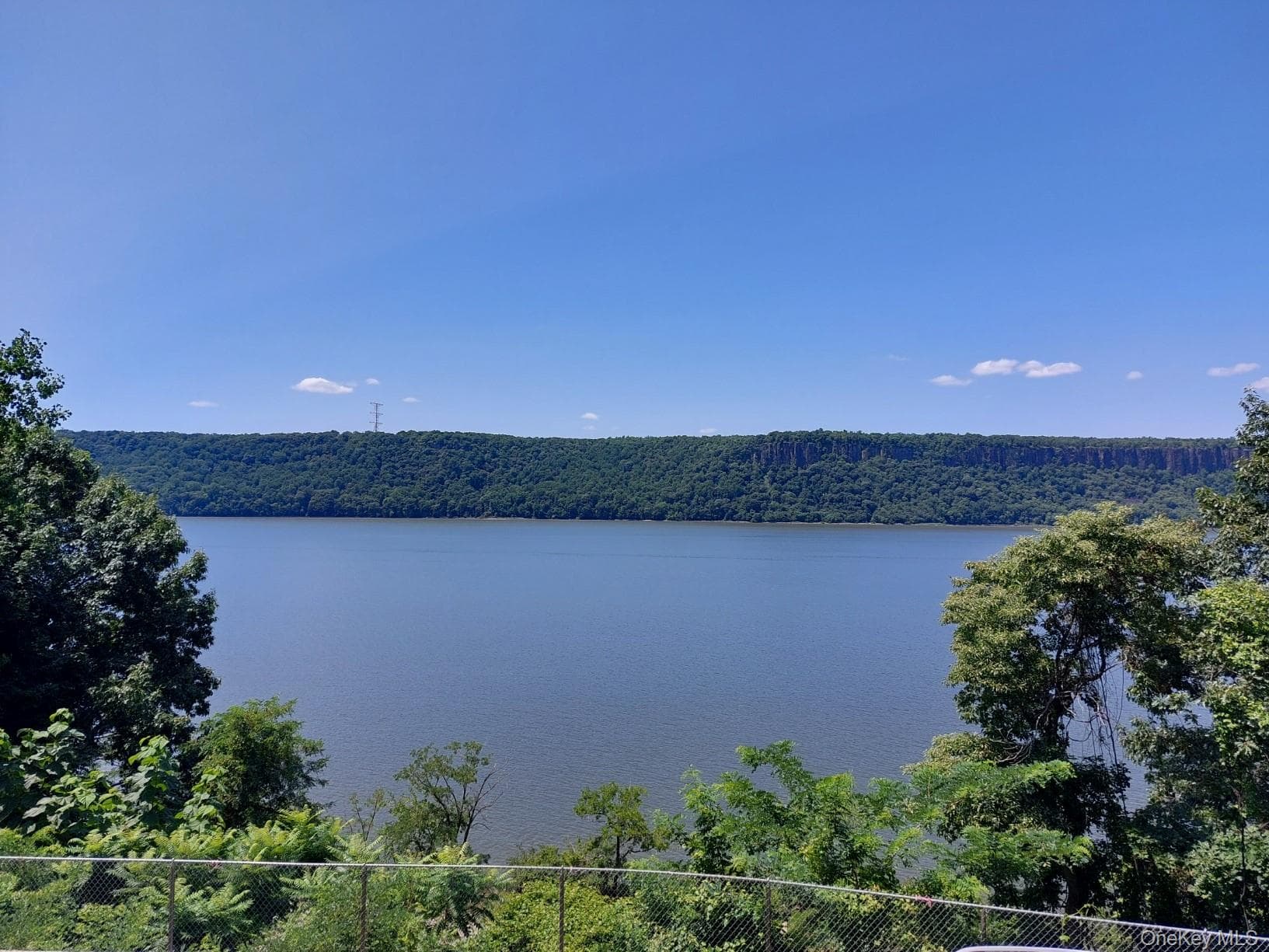 679 Warburton Avenue Unit: 1L thumbnail 4