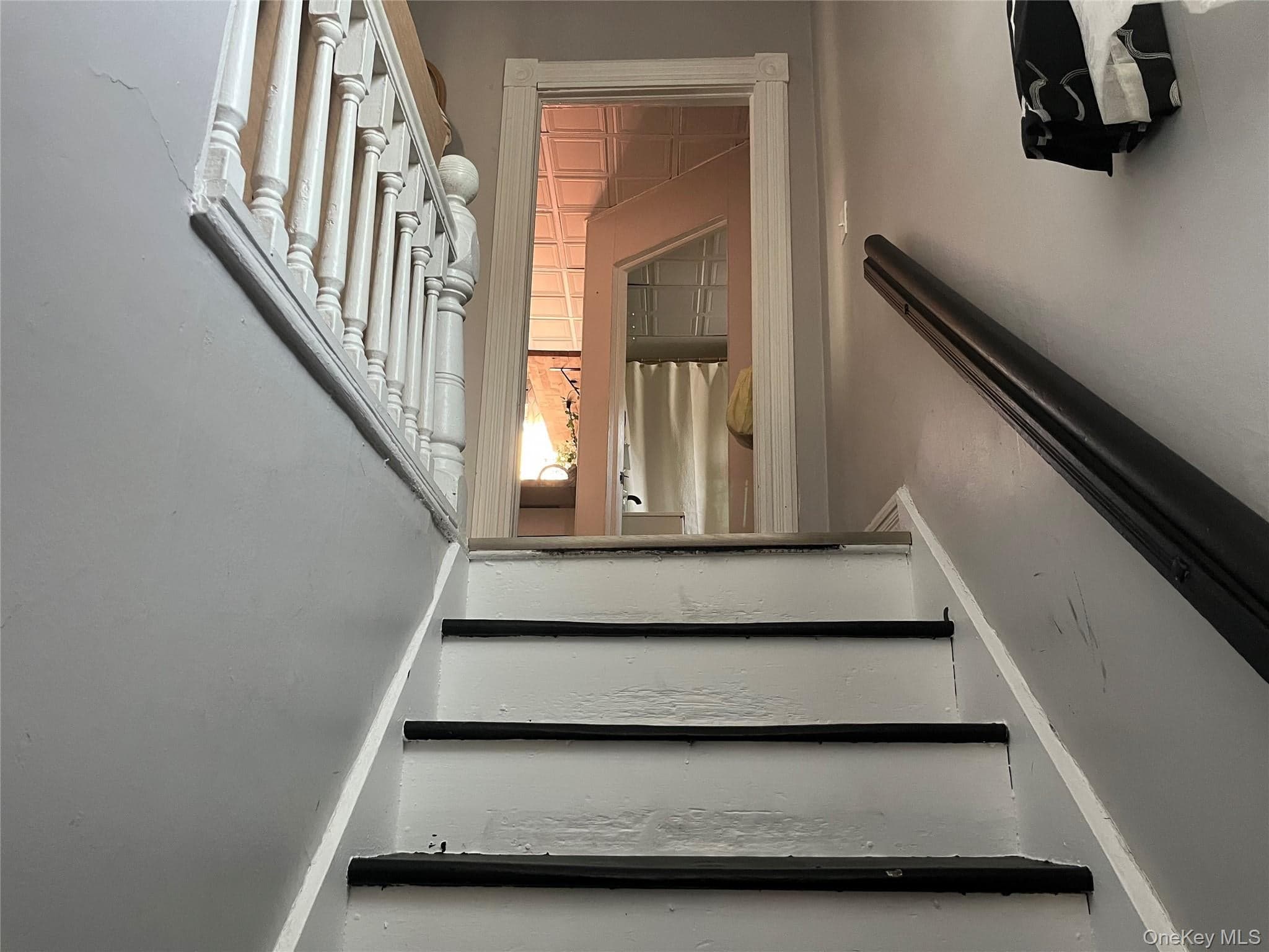 95 Albany Street thumbnail 2