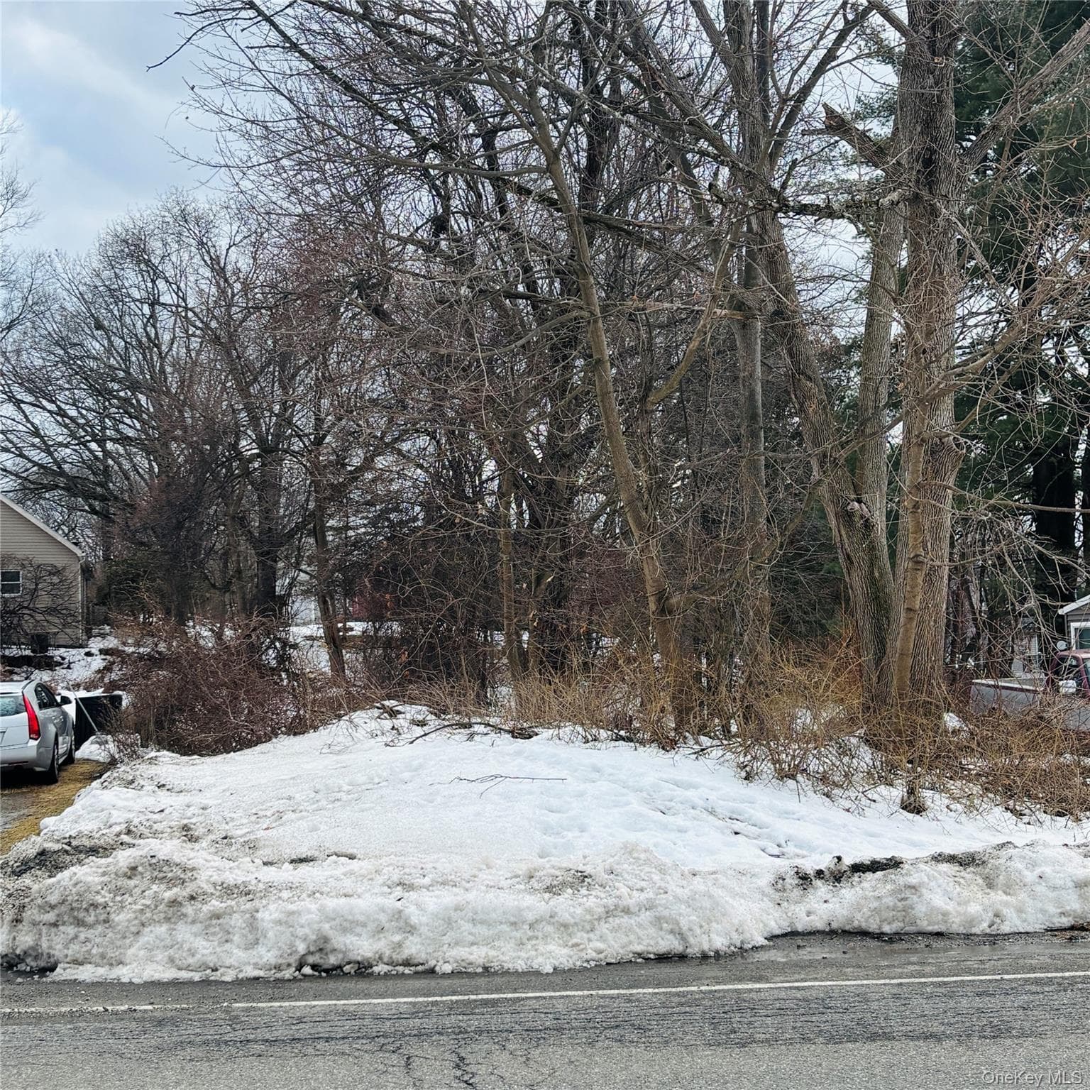 Between 229 and 231 Westchester Avenue thumbnail 5