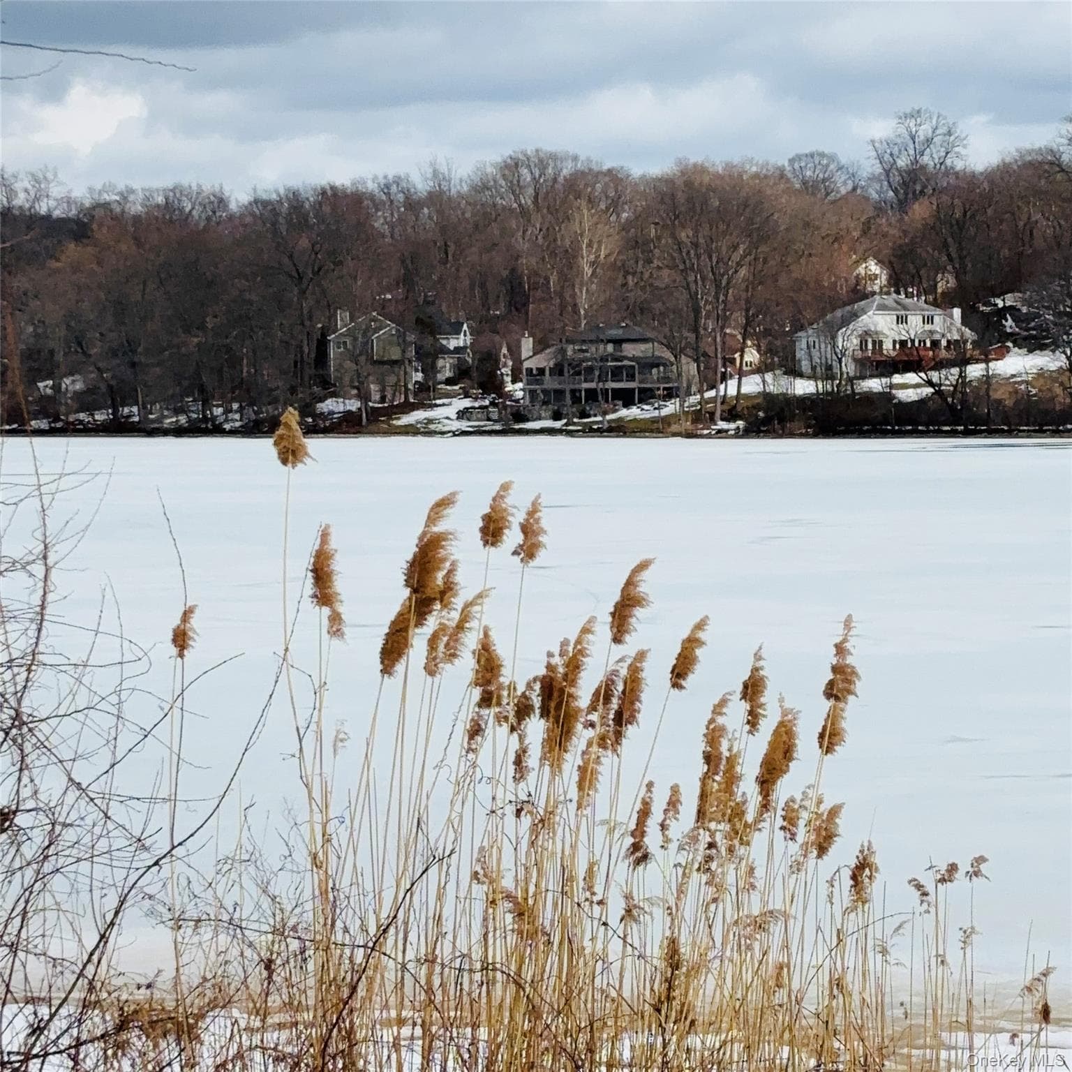 Between 229 and 231 Westchester Avenue thumbnail 14