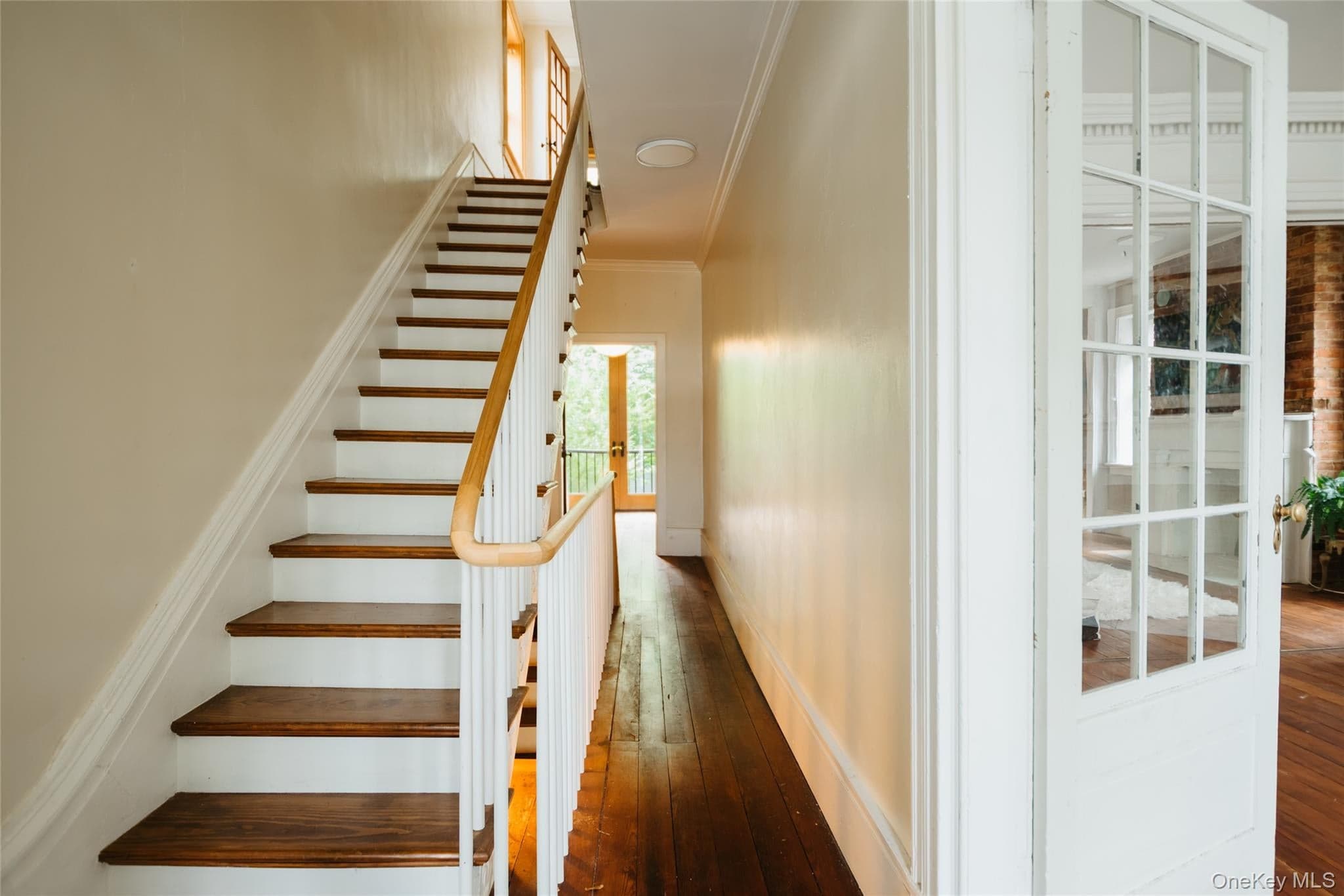 11 Hone Street thumbnail 19