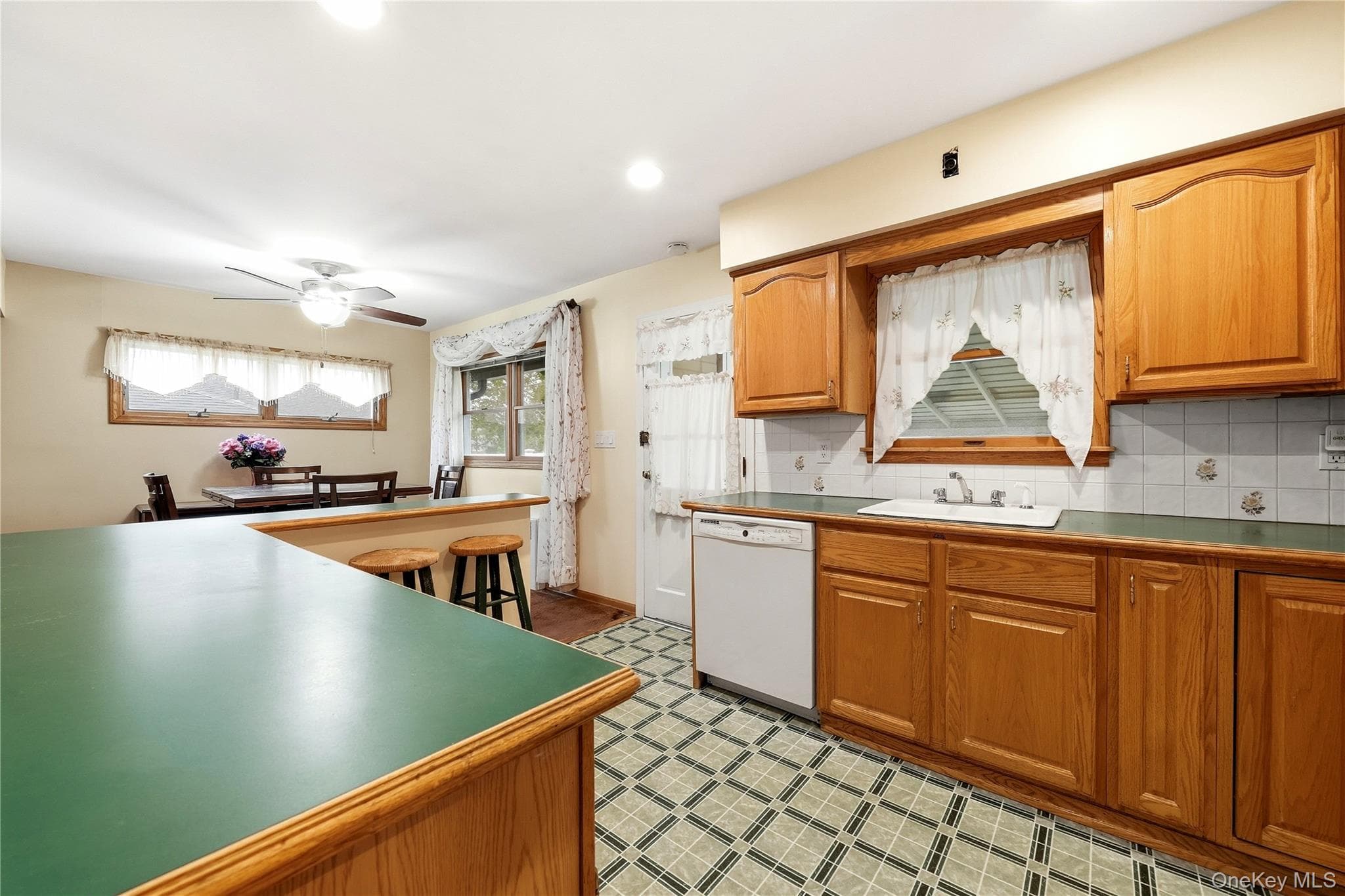 947 White Birch Lane thumbnail 12