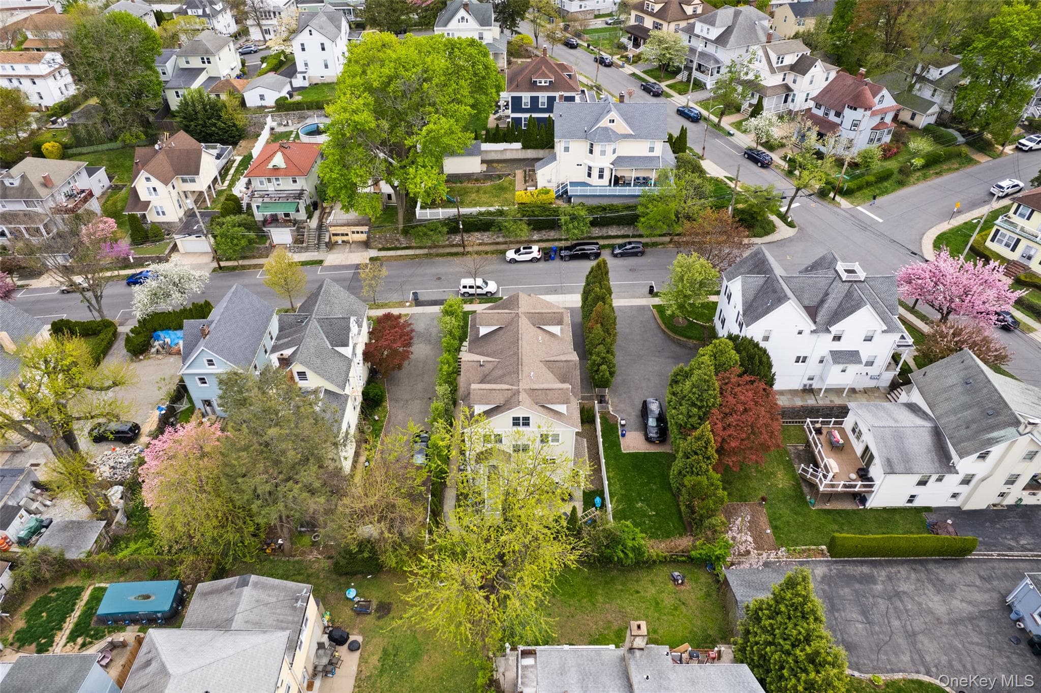51 Wallace Street thumbnail 34