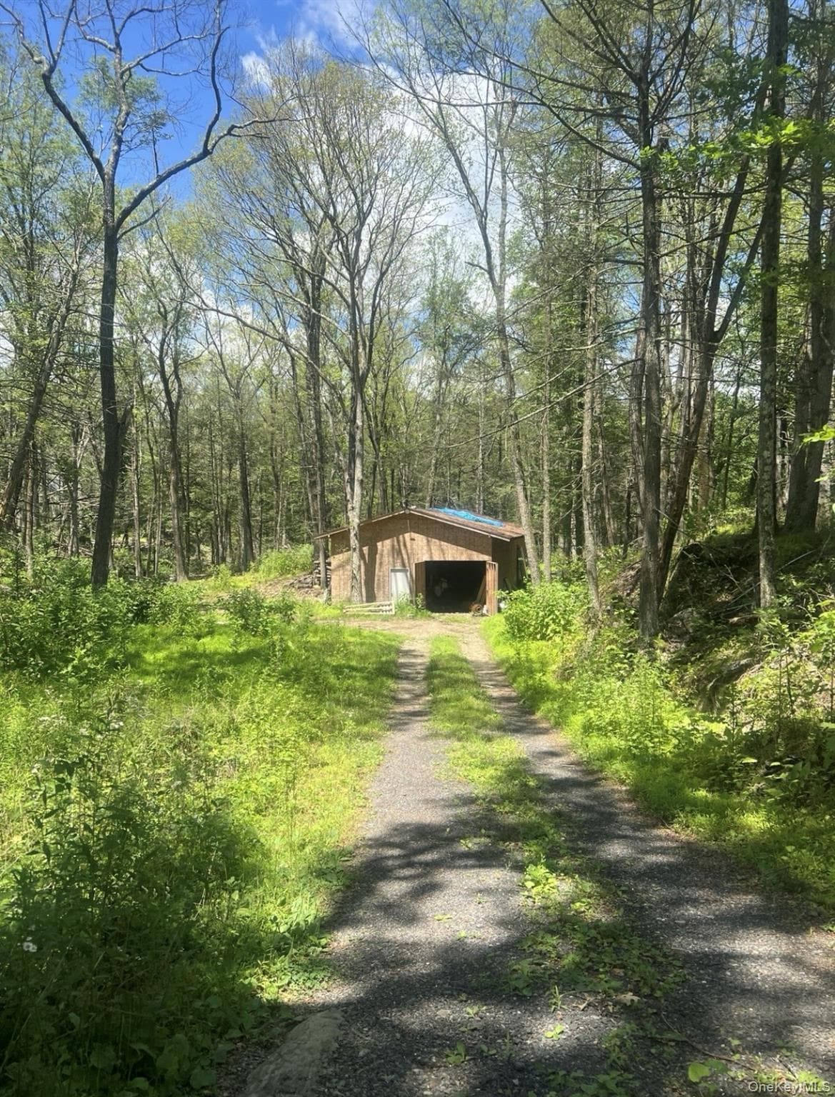 107 Pine Hill Road thumbnail 14