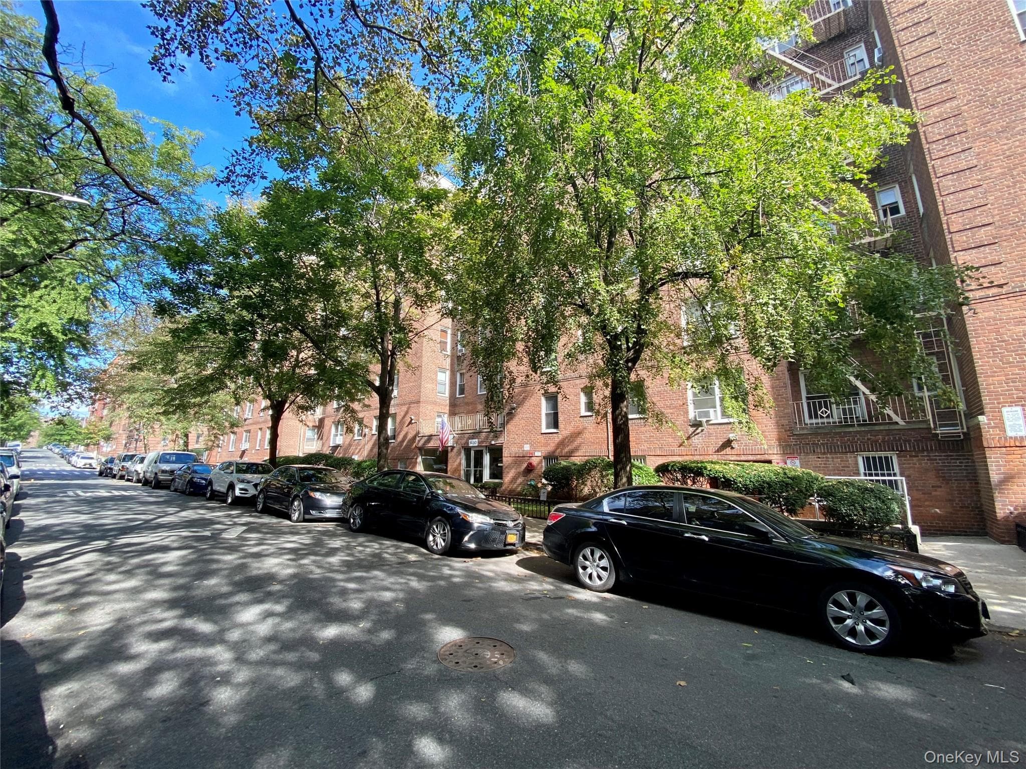 1425 Thieriot Avenue Unit: 6M thumbnail 2