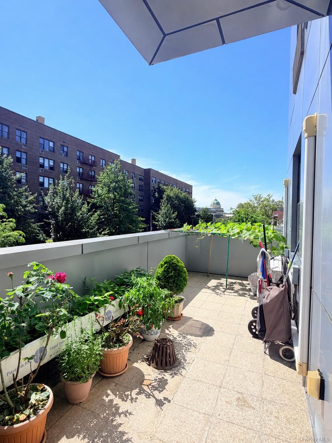 8616 21st Avenue Unit: 3H thumbnail 13