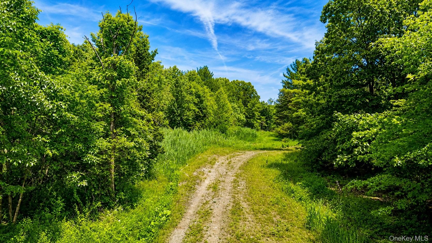 19 Deer Run West thumbnail 11