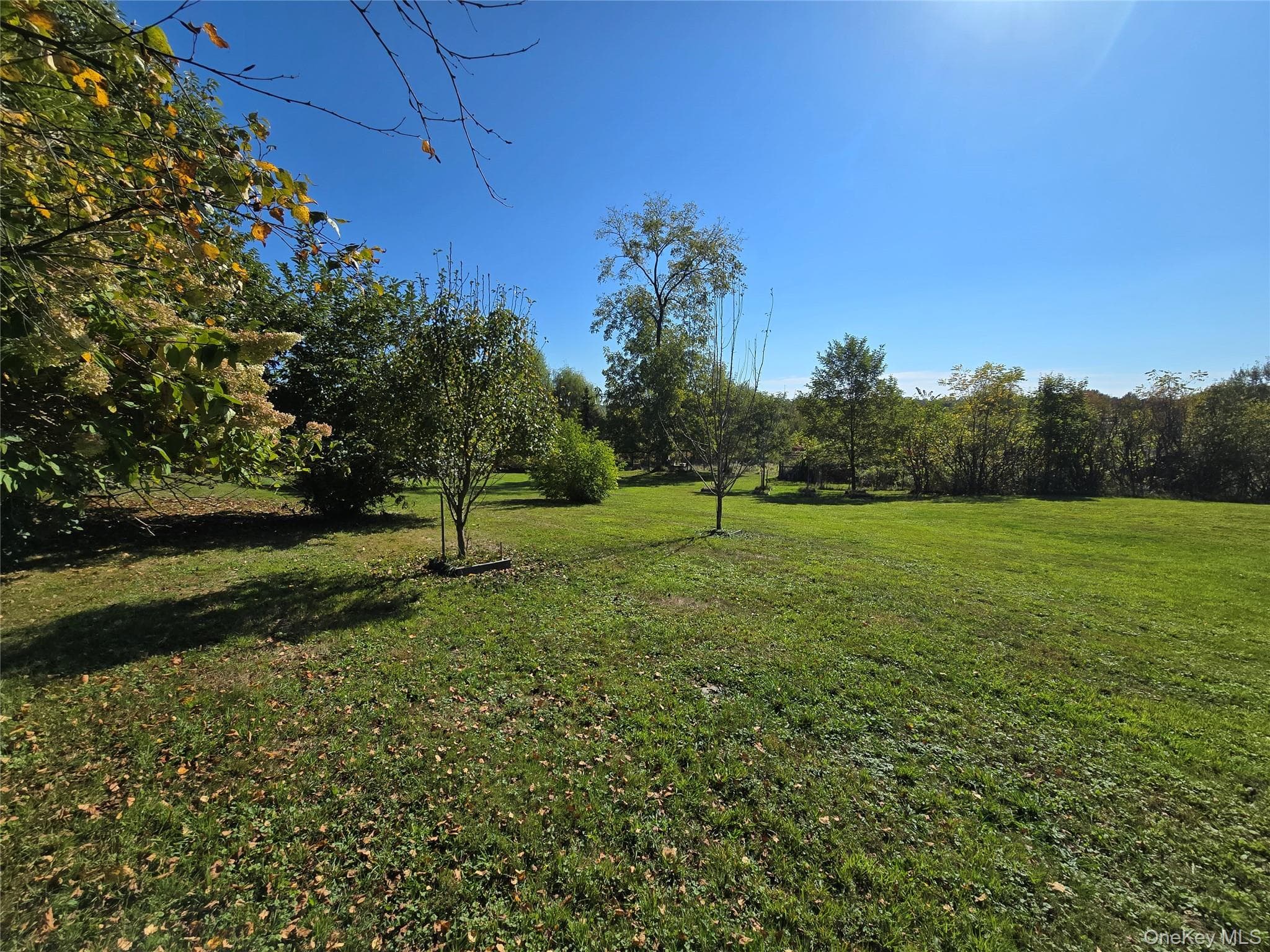 171 Winterton Road, Bloomingburg