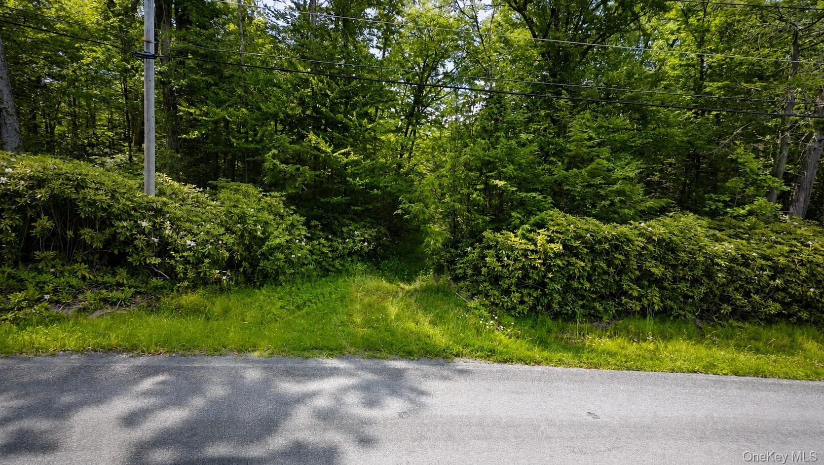 Taylor Road thumbnail 3