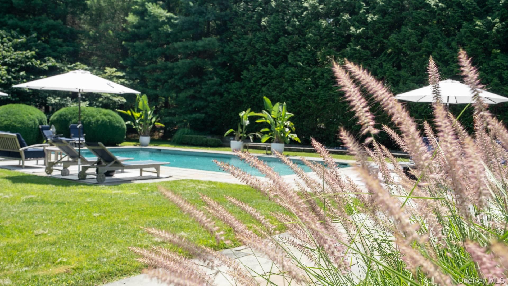 329 Georgica Road thumbnail 9