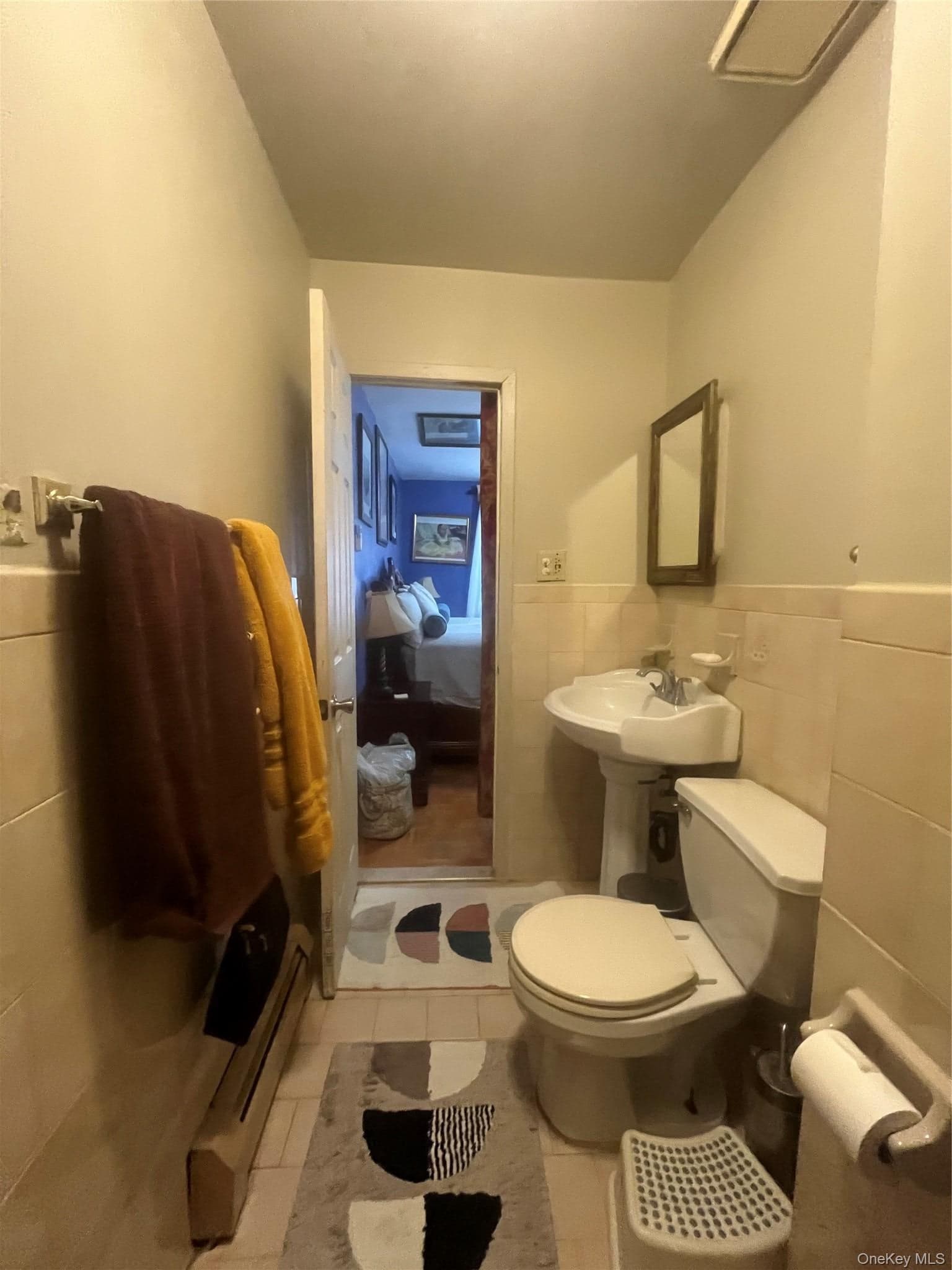 619 E 86th Street thumbnail 26